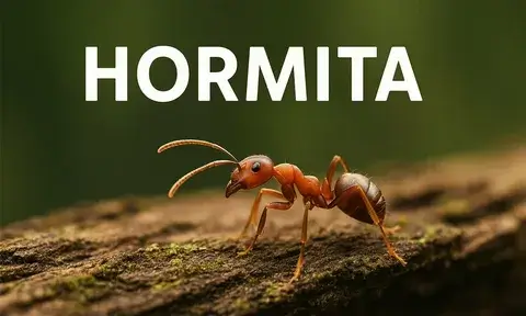 Exploring the Wonders of Hormita: Nature’s Hidden Gem